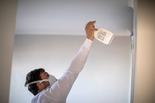 Best Office Mold Removal Services  in Millen, GA